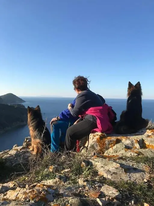 Casa Vacanze Il Pastore Tedesco Portoferraio