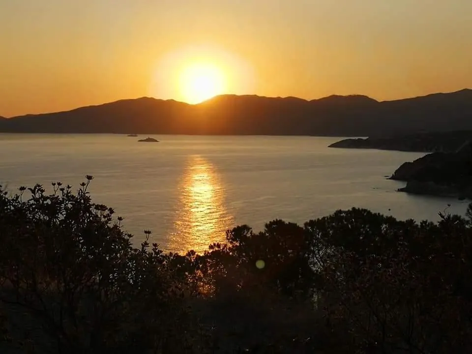 Casa Vacanze Il Pastore Tedesco Portoferraio Italia