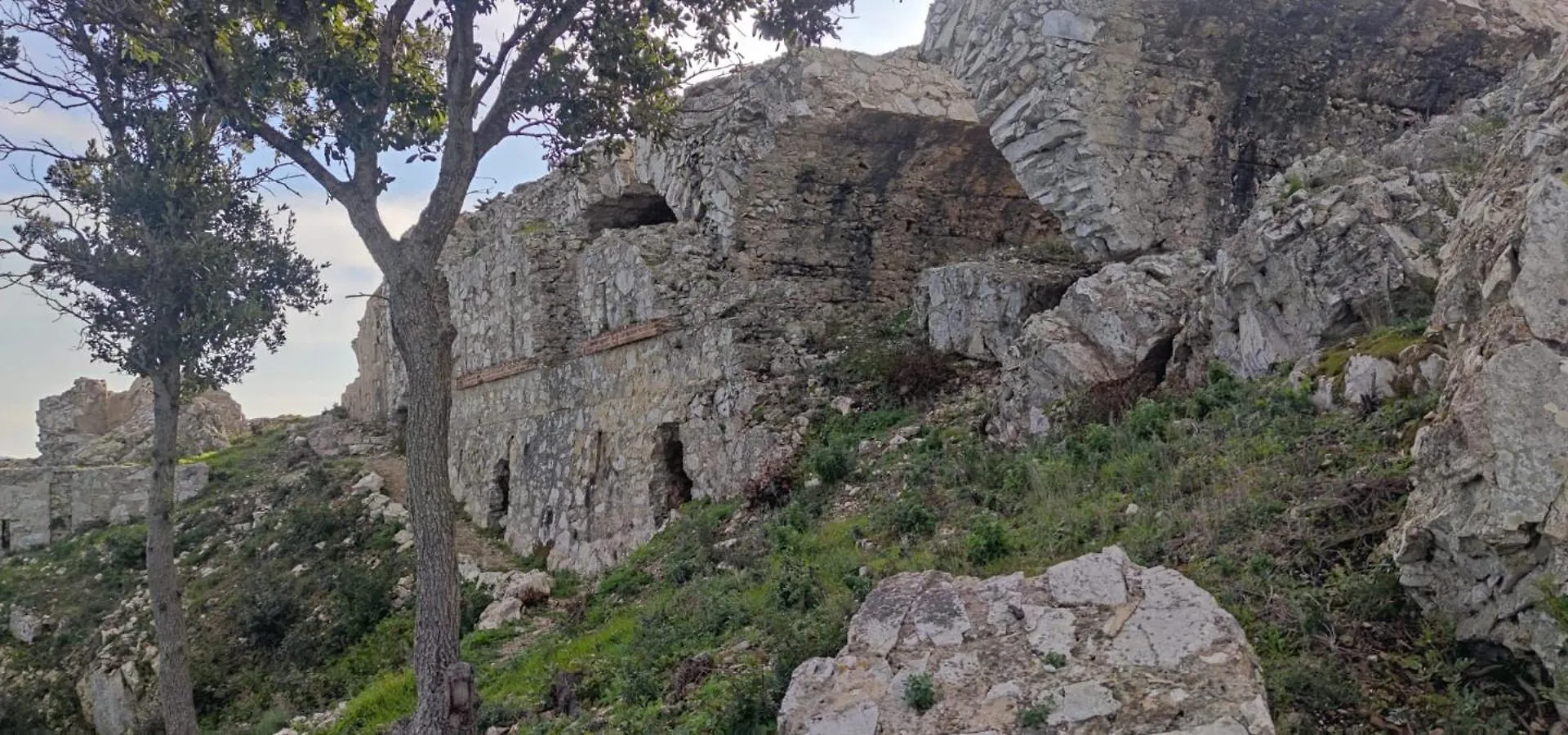 Casa Vacanze Il Pastore Tedesco Portoferraio Appartamento