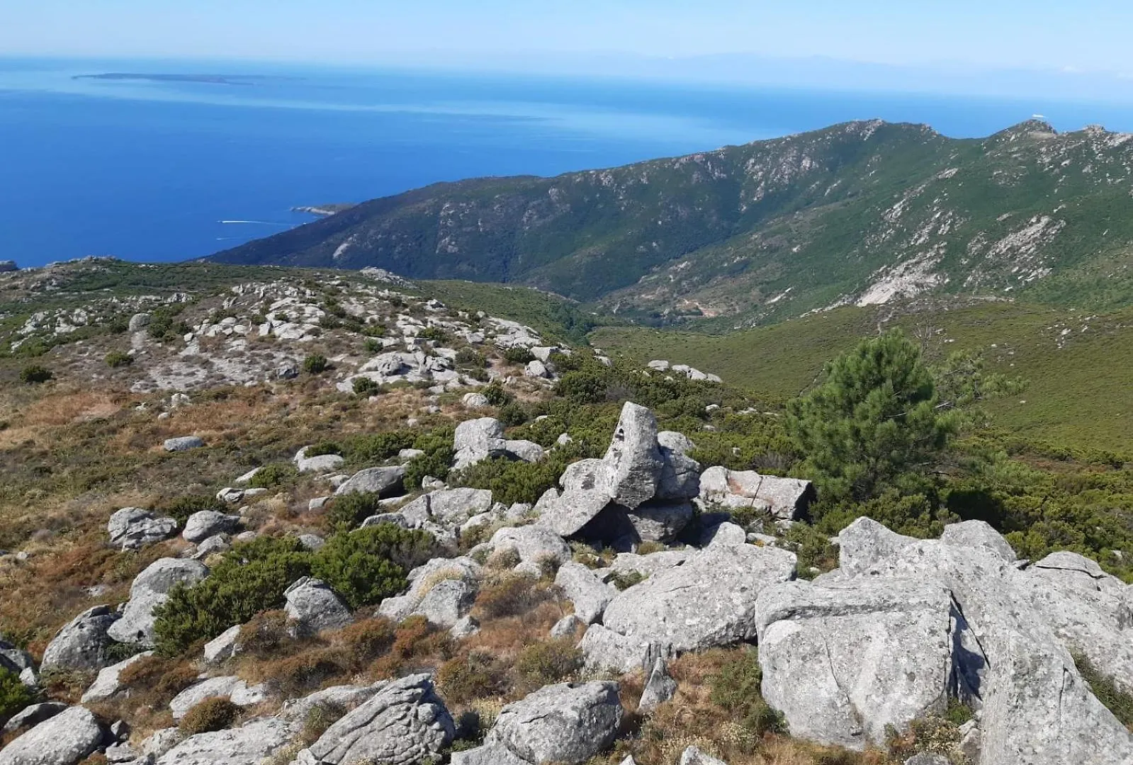 Casa Vacanze Il Pastore Tedesco Portoferraio
