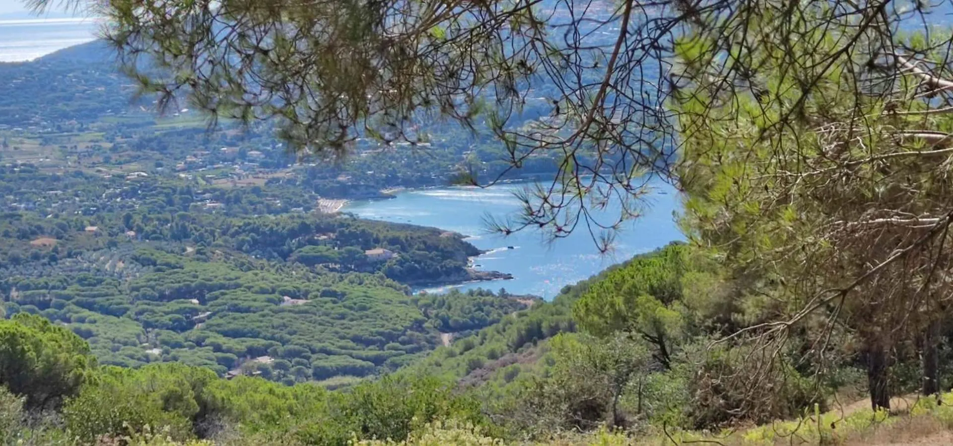 Appartamento Casa Vacanze Il Pastore Tedesco Portoferraio